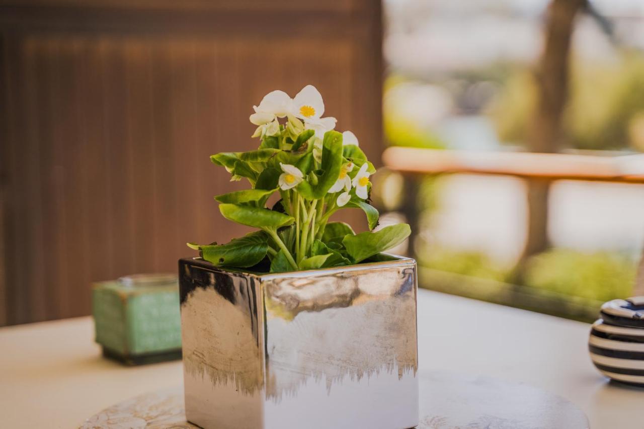 Green Apartment Ground Floor Feel Like Home Properties Saronida 外观 照片