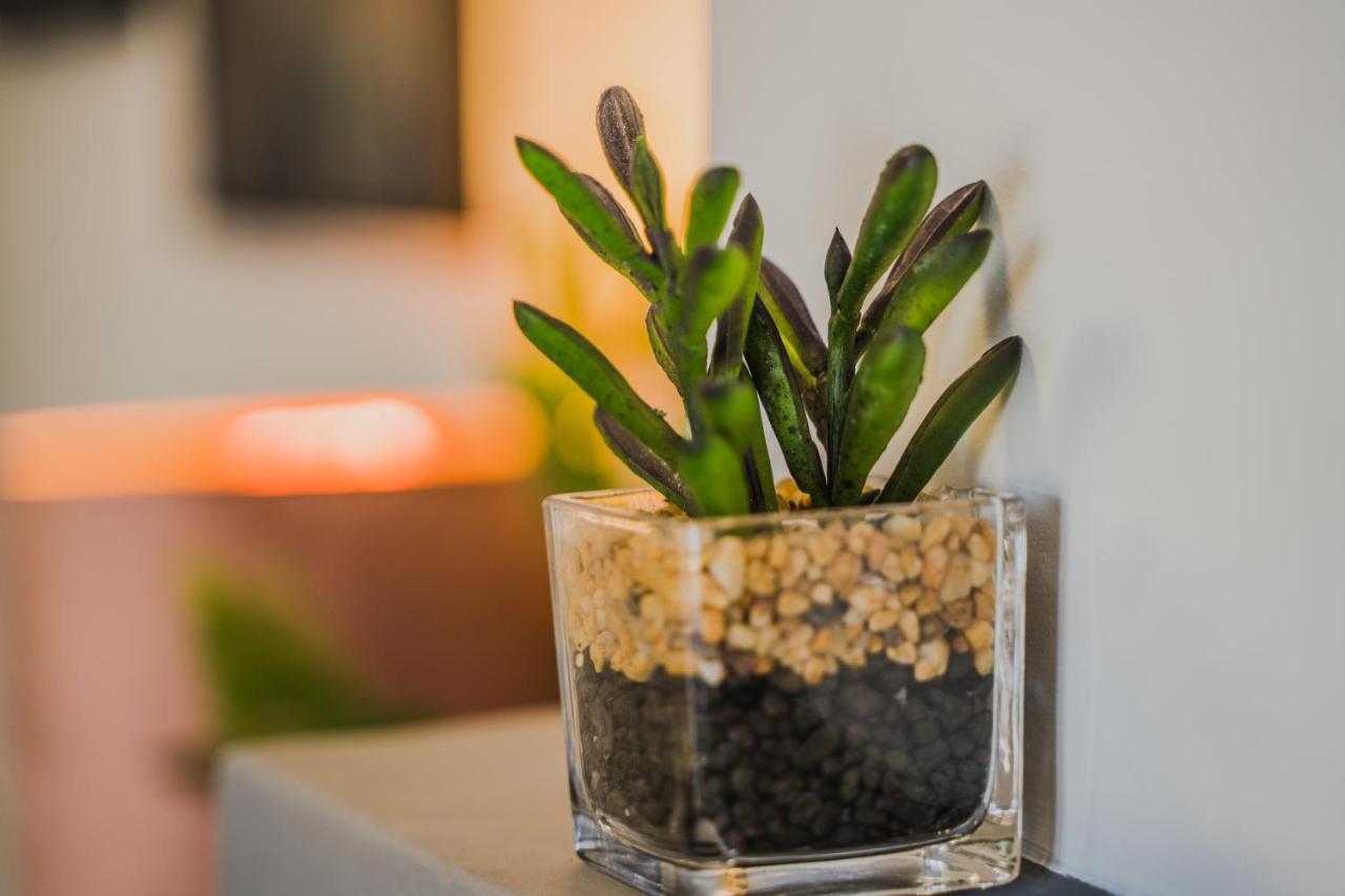 Green Apartment Ground Floor Feel Like Home Properties Saronida 外观 照片